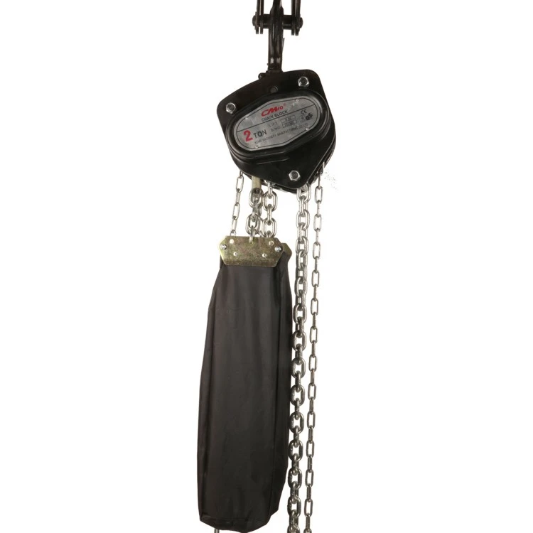 Power Free Manual Chain Hoist factory